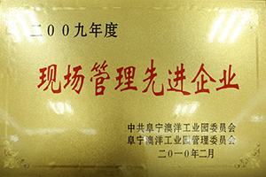 2009年度现场管理先进企业